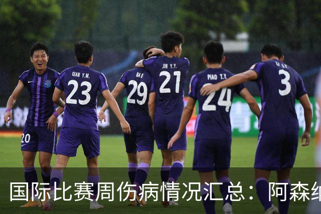 国际比赛周伤病情况汇总：阿森纳球员遭遇打击