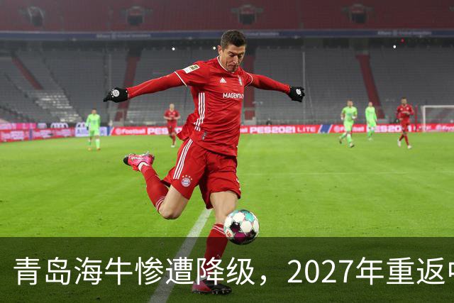 青岛海牛惨遭降级，2027年重返中甲赛场